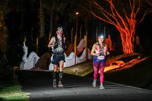 BIB: 
                            <button type="button" onclick="openModal(22510766)" class="btn btn-primary btn-sm float-right btn-popup" data-toggle="modal" data-target=".modal-high-quality">
                        <i class="fas fa-shopping-cart"></i> Add to Cart
                    </button>
                                            <button type="button" onclick="isThisMe(22510766, true)" class="btn btn-success btn-sm float-right btn-popup btn-isme hidden" data-toggle="tooltip" data-placement="bottom" title="นี่คือรูปของคุณใช่ไหม คลิกที่นี่เพื่อเอาเข้าอัลบั้ม">
                        <i class="fas fa-plus"></i> Add to album
                    </button>
                    <button type="button" onclick="isThisMe(22510766, false)" class="btn btn-warning btn-sm float-right btn-popup btn-isnotme hidden">
                        <i class="fas fa-ban"></i> Remove from album
                    </button>